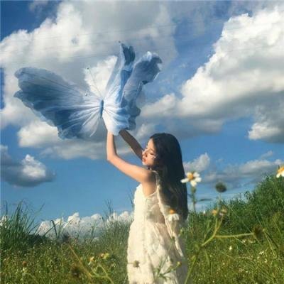 凤鸣九天之姻缘天定